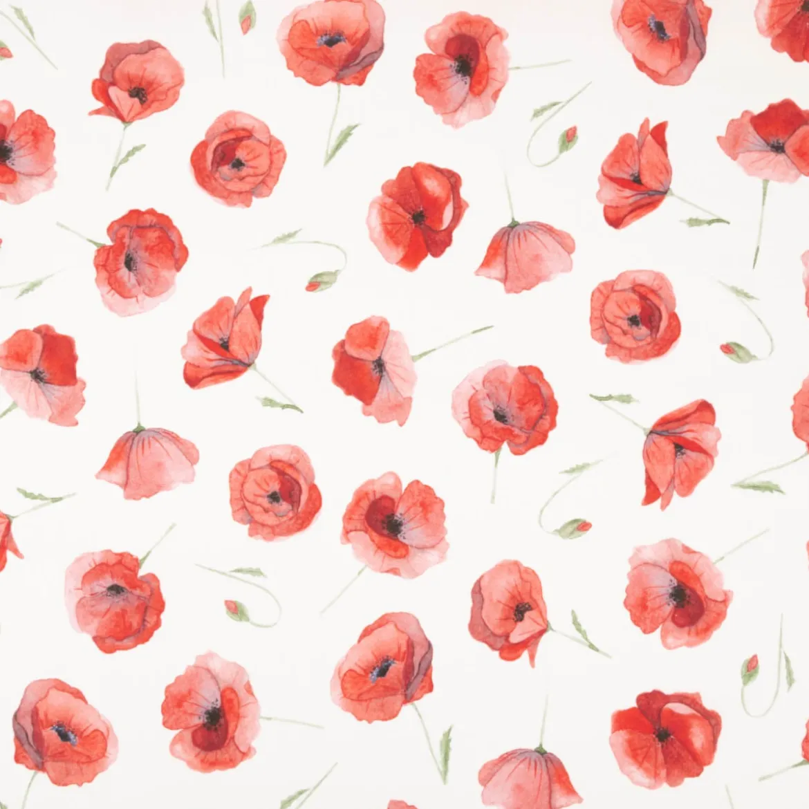 Vorhangstoff Baumwollstoff Popeline Watercolour Poppy Mohnblumen vanille rot 1,40m Breite