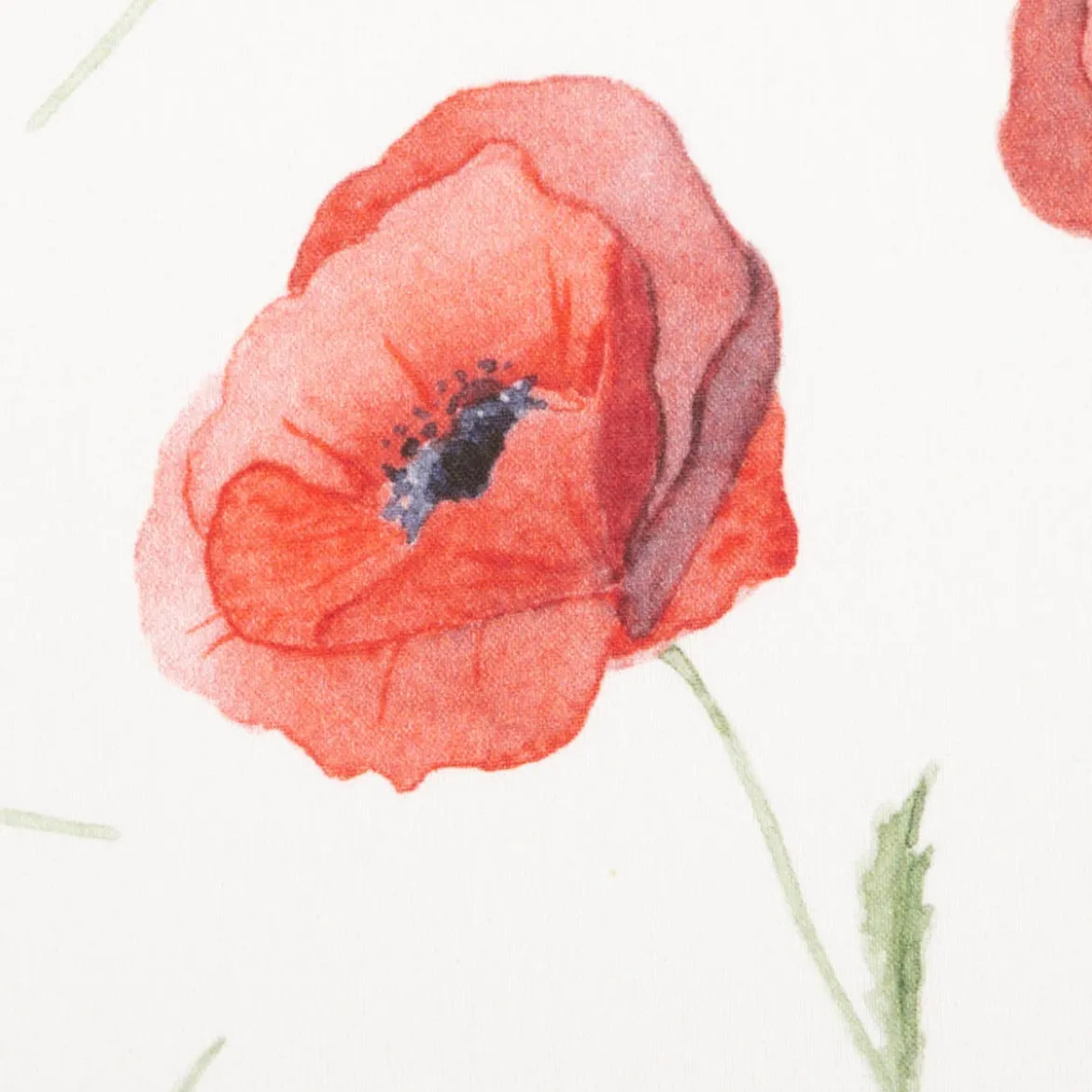 Vorhangstoff Baumwollstoff Popeline Watercolour Poppy Mohnblumen vanille rot 1,40m Breite