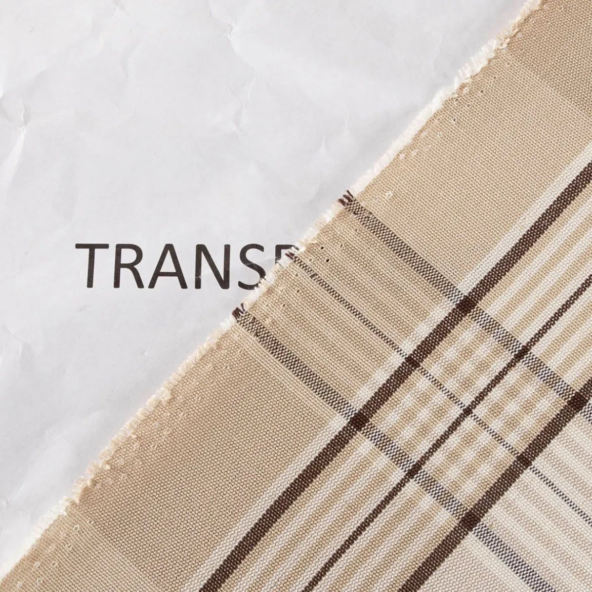 Vorhangstoff Dekostoff Hubertus Karos beige 160cm Stoffbreite