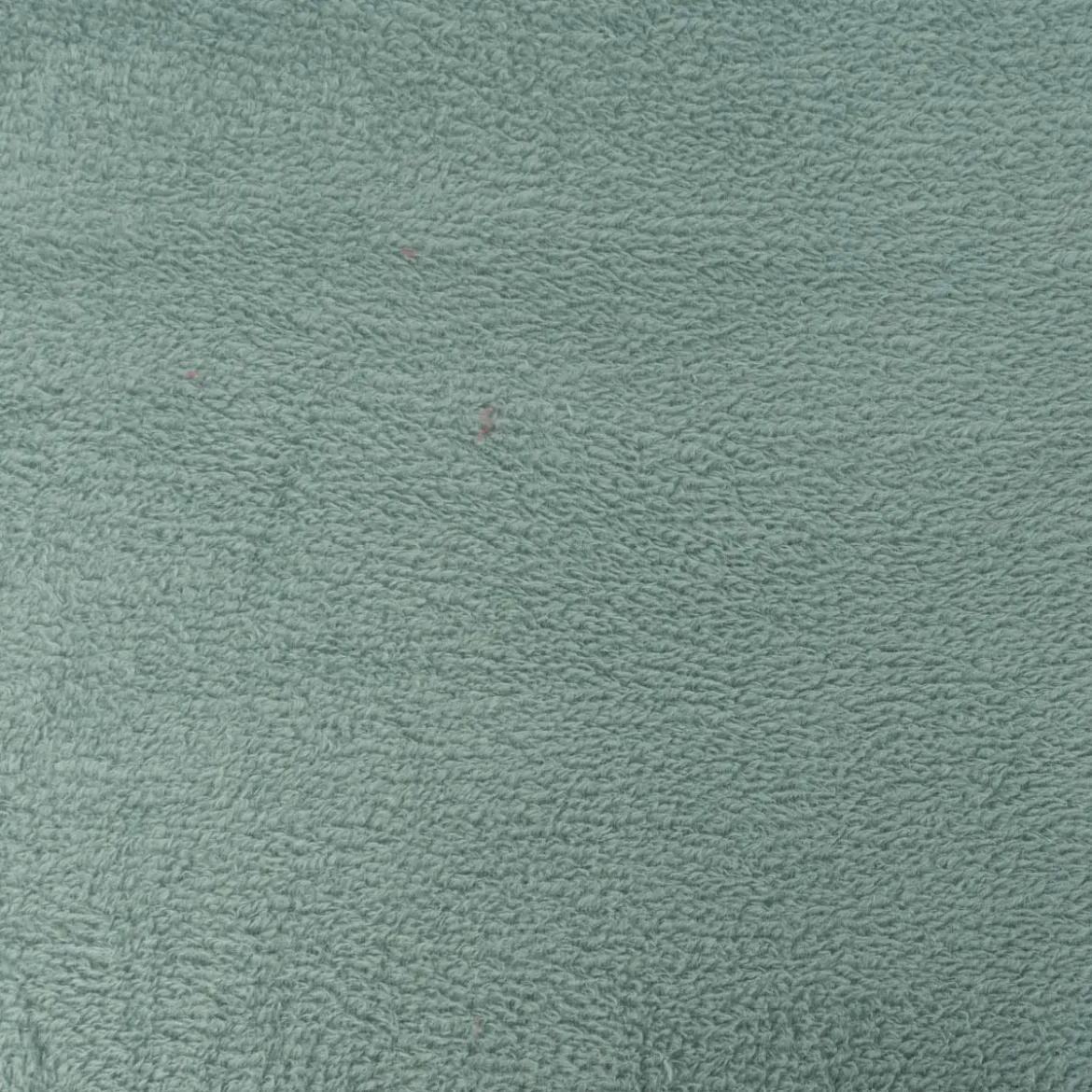Wellness Fleece Stoff Doubleface einfarbig mintgrün 1,45m Breite